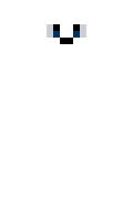 LikelySpace4323 minecraft skin