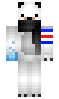 Electro889 minecraft skin