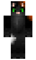 f72809d3f817e8 minecraft skin