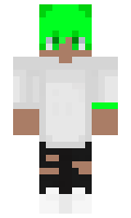 CreWNikStudios minecraft skin