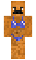 f776fb74b72b60 minecraft skin