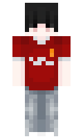 MikMol minecraft skin