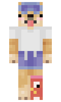 wchild05 minecraft skin