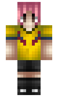 SiNikk minecraft skin