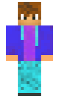 hisknight minecraft skin