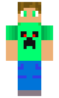 vimsehode minecraft skin