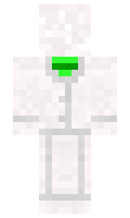 Tome minecraft skin