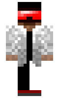 Dynwll minecraft skin