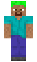 f83195fb1922d5 minecraft skin