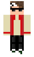 f832c378310273 minecraft skin