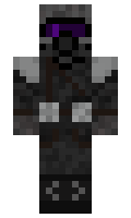 distantanion minecraft skin