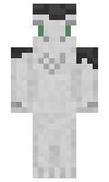 WinterSunshine minecraft skin