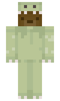 NitroBearG0D minecraft skin
