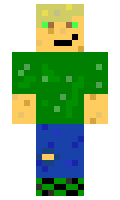 f86807c12f513a minecraft skin