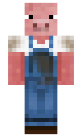 den21 minecraft skin