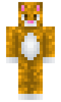 f897aa66a1f707 minecraft skin