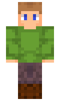 f8a1b20caaf323 minecraft skin