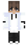 f8b04cc2d0b20d minecraft skin