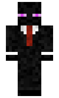 padnp minecraft skin