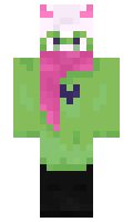 d1n06 minecraft skin