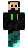 f8e9fab5d9b887 minecraft skin