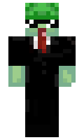 Magii minecraft skin