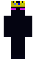 NinjaTRM1 minecraft skin