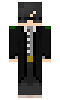 f91649119c114b minecraft skin