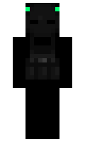 f9247436ea28cc minecraft skin