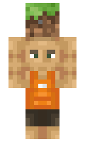 seasharp minecraft skin