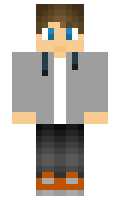 Druk minecraft skin