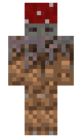 ZibiNikt minecraft skin