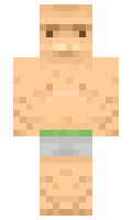 poigrall minecraft skin