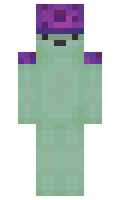 f9c9ed39e6235f minecraft skin