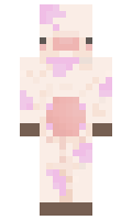 Felicity minecraft skin