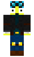 fa01407b67304d minecraft skin