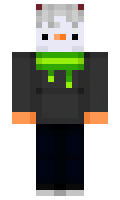 fa05587892a2cc minecraft skin
