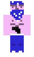 foll minecraft skin