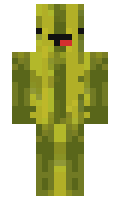 Mellon minecraft skin