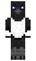 fa291dd4008579 minecraft skin