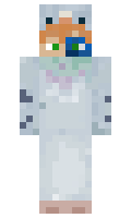fa2e587221abe4 minecraft skin