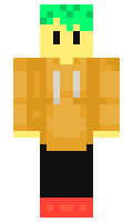 fa37890115586a minecraft skin