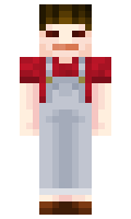 fa569446d62acc minecraft skin
