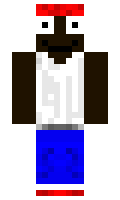ROOR minecraft skin