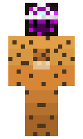 Sayoco minecraft skin