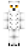 hyperhamish minecraft skin