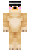 WaffleOverload minecraft skin