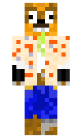 Aidan421 minecraft skin