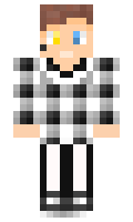 syner minecraft skin