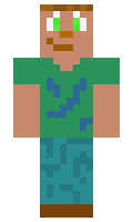 laust2000 minecraft skin